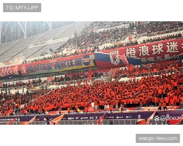 日本国家队球迷热情助威，共筑世界杯梦想