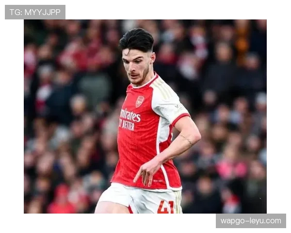 赖斯比赛影响指数