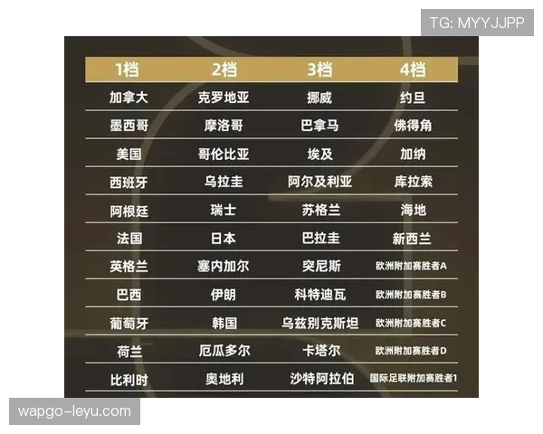 世界杯传统豪门阵容数据分析与实力排名